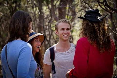 Blue Mountains Nature And Wildlife Day Tour From Sydney - Surfers Gold Coast 37