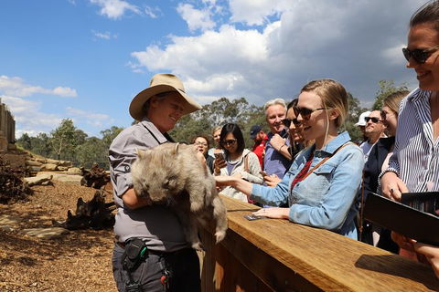Blue Mountains Nature And Wildlife Day Tour From Sydney - Surfers Gold Coast 35