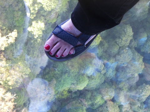 Blue Mountains Day Trip From Sydney Including Scenic World - Surfers Gold Coast 1