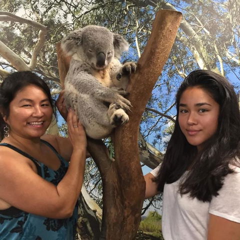 Blue Mountains Day Trip From Sydney Including Scenic World - Surfers Gold Coast 5