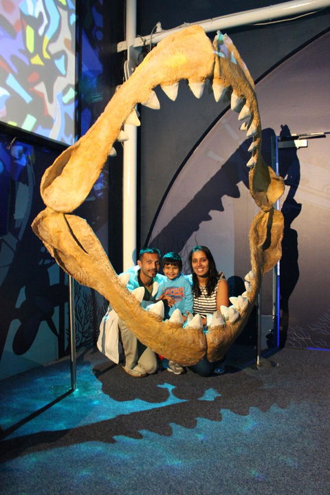 SEA LIFE Sydney Aquarium Entrance Ticket - Surfers Gold Coast 6