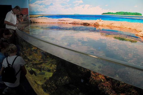 SEA LIFE Sydney Aquarium Entrance Ticket - Surfers Gold Coast 24