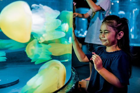 SEA LIFE Sydney Aquarium Entrance Ticket - Surfers Gold Coast 26