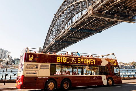 Sydney Shore Excursion: Big Bus Sydney And Bondi Hop-On Hop-Off Tour - Surfers Gold Coast 12