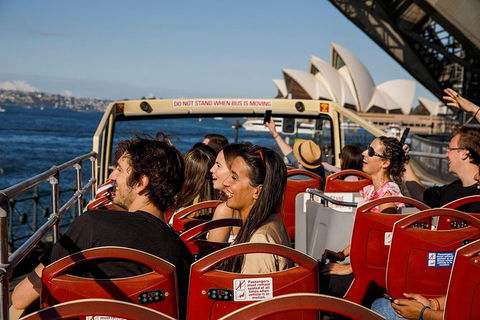 Sydney Shore Excursion: Big Bus Sydney And Bondi Hop-On Hop-Off Tour - Surfers Gold Coast 2
