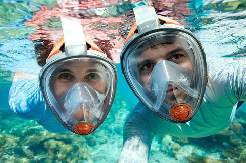 Sydney 3-Hour Snorkeling Tour - Surfers Gold Coast 1