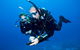 Sydney Guided Shore Dive - thumb 3