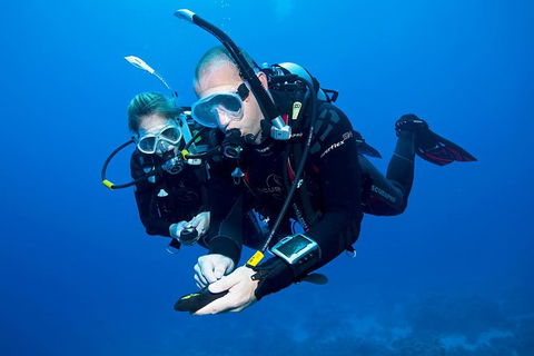 Sydney Guided Shore Dive - Surfers Gold Coast 3