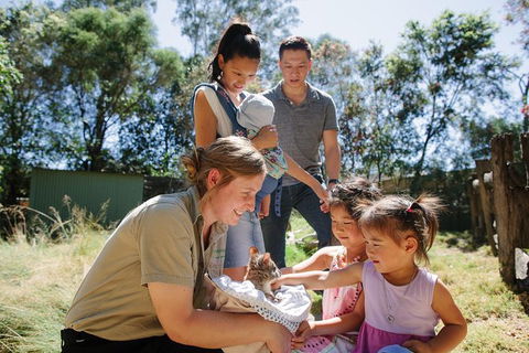 Featherdale Wildlife Park General Admission - Surfers Gold Coast 4