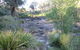Wild Australian Wildlife 4WD Tour From Sydney - thumb 22