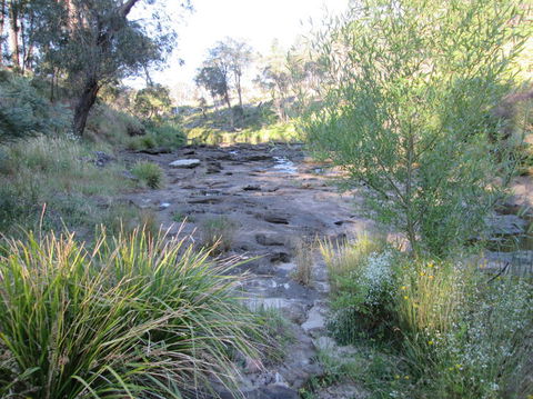 Wild Australian Wildlife 4WD Tour From Sydney - Surfers Gold Coast 22
