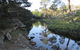 Wild Australian Wildlife 4WD Tour From Sydney - thumb 21