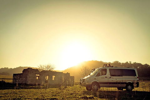 Wild Australian Wildlife 4WD Tour From Sydney - Surfers Gold Coast 0