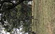 Wild Australian Wildlife 4WD Tour From Sydney - thumb 3