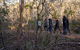 Wild Australian Wildlife 4WD Tour From Sydney - thumb 31