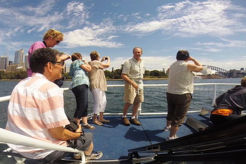 Sydney Harbour Private Tour - Surfers Gold Coast 2