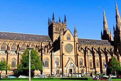Sydney Private Day Tours | Main Attractions And Highlights | 6 Hour Private Tour - Surfers Gold Coast 7
