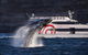3 Hour Discovery Cruise Ultimate Whale Watching Experience - thumb 0