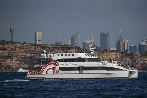 3 Hour Discovery Cruise Ultimate Whale Watching Experience - Surfers Gold Coast 6
