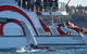 3 Hour Discovery Cruise Ultimate Whale Watching Experience - thumb 3
