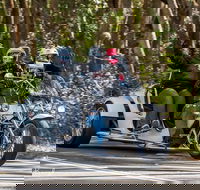 Grand Pacific Trike or Harley Davidson Tour - Surfers Gold Coast