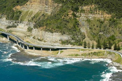 Grand Pacific Trike Or Harley Davidson Tour - Surfers Gold Coast 6