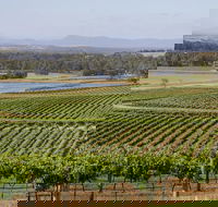 Hunter Valley Wine and Wildlife Tour from Sydney with Walkabout Wildlife Park - Surfers Gold Coast