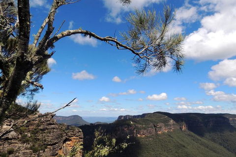 Blue Mountains Small-Group Insider Tour From Sydney - Surfers Gold Coast 1