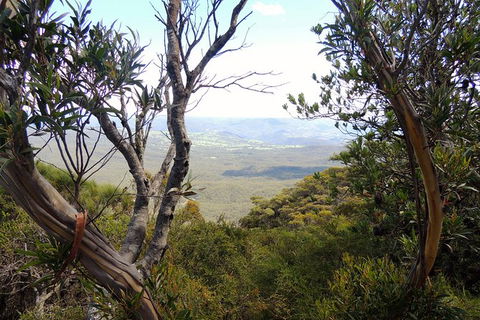 Blue Mountains Small-Group Insider Tour From Sydney - Surfers Gold Coast 6