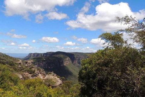 Blue Mountains Small-Group Insider Tour From Sydney - Surfers Gold Coast 5