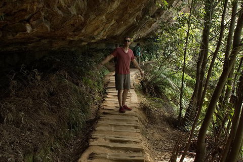 Blue Mountains Small-Group Insider Tour From Sydney - Surfers Gold Coast 16
