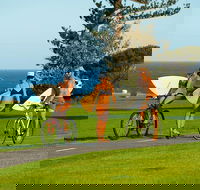 4-Week Surf Development Course - Surfers Gold Coast