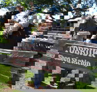 Private Tobruk Sheep Station Day Tour from Sydney Including BBQ Lunch - Surfers Gold Coast