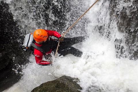 Full Day Sub-Tropical Rainforest Canyoning Adventure From Sydney - Surfers Gold Coast 2