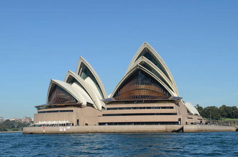 Sydney Eco Whale Watching Small Group Cruise - Surfers Gold Coast 10