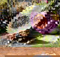 Northern Rivers Distillery Tour from Byron Bay Kingscliff or the Gold Coast