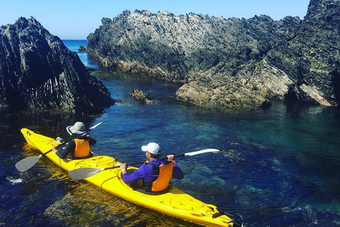 Half Day Sea Kayak Tour From Batemans Bay - Surfers Gold Coast 1