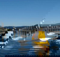 Batemans Bay Oyster Tasting Kayak Tour - Surfers Gold Coast