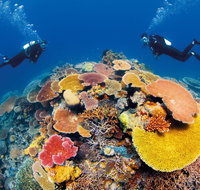 Agincourt Reef - Surfers Gold Coast