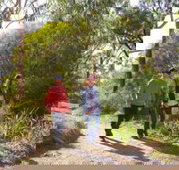 Arthurs Seat Circuit Walk - Surfers Gold Coast