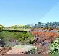 Bladensburg National Park - Surfers Gold Coast