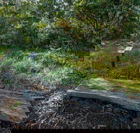 Browns Forest Loop Trail - Surfers Gold Coast