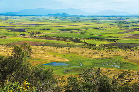 Burdekin - Surfers Gold Coast 1