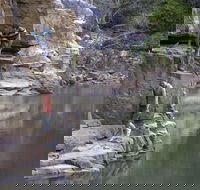 Butterfly Gorge Nature Park - Surfers Gold Coast
