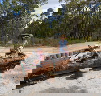 Crooked Brook Forest - Surfers Gold Coast