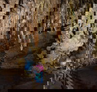 Cutta Cutta Caves Nature Park - Surfers Gold Coast