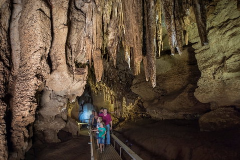 Cutta Cutta Caves Nature Park - Surfers Gold Coast 0