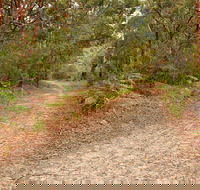 Daleys Point Walking Track - Surfers Gold Coast