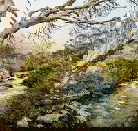 Dead Horse Gap walking track - Surfers Gold Coast