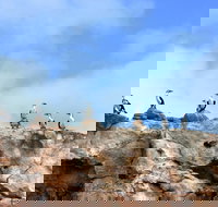 Dirk Hartog Island National Park - Surfers Gold Coast